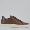Sneakers pelle marrone