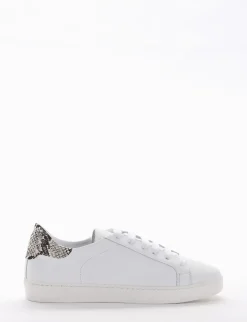 Snkrs topponcino roccia