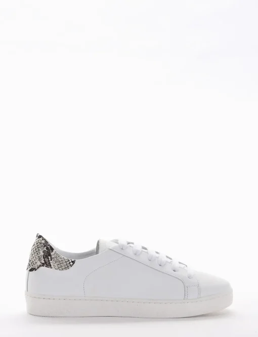 Snkrs topponcino roccia